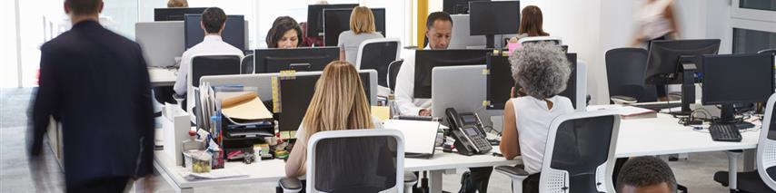 Office filled with people working on computers at desks